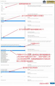 11.外贸网站分类页面建立与SEO优化-外贸老船长