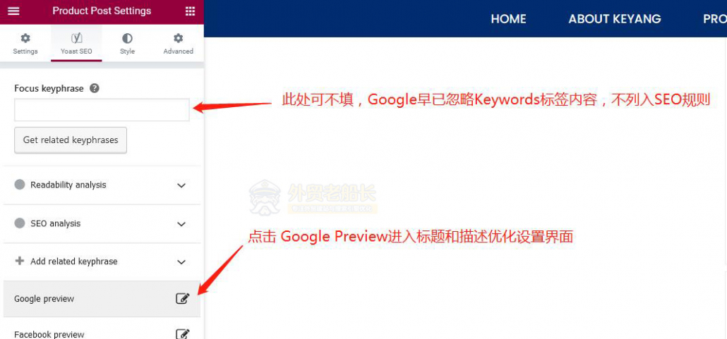 12-Elementor设置Google-Preview