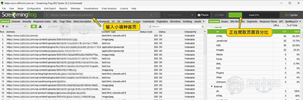 Screaming Frog 尖叫蛙抓取小语种页面